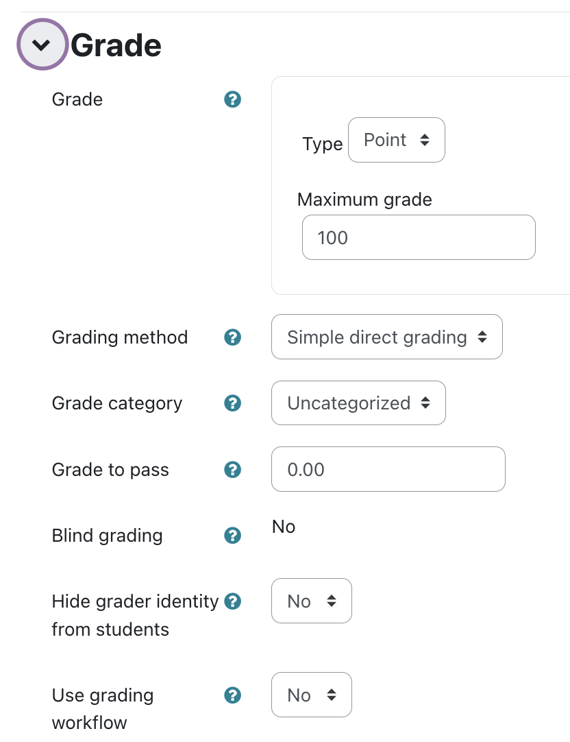 assignment setup grading options